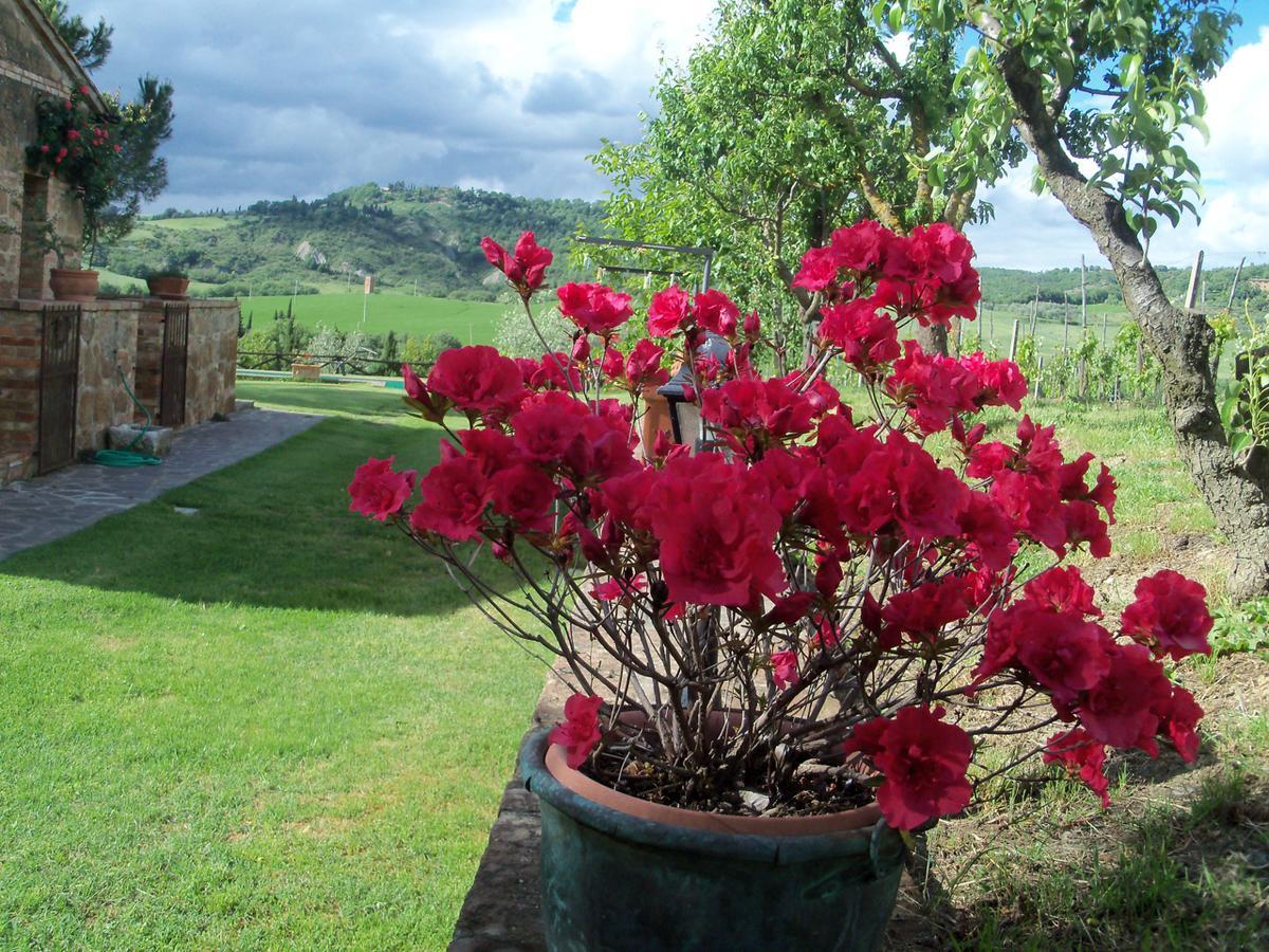 Agriturismo Santa Maria Pienza Exterior photo